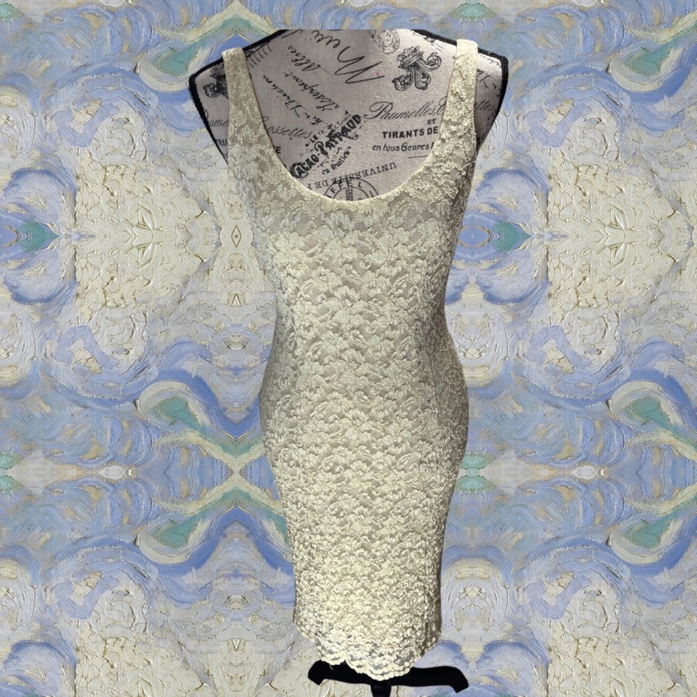 Vintage Rococo Lace Dress